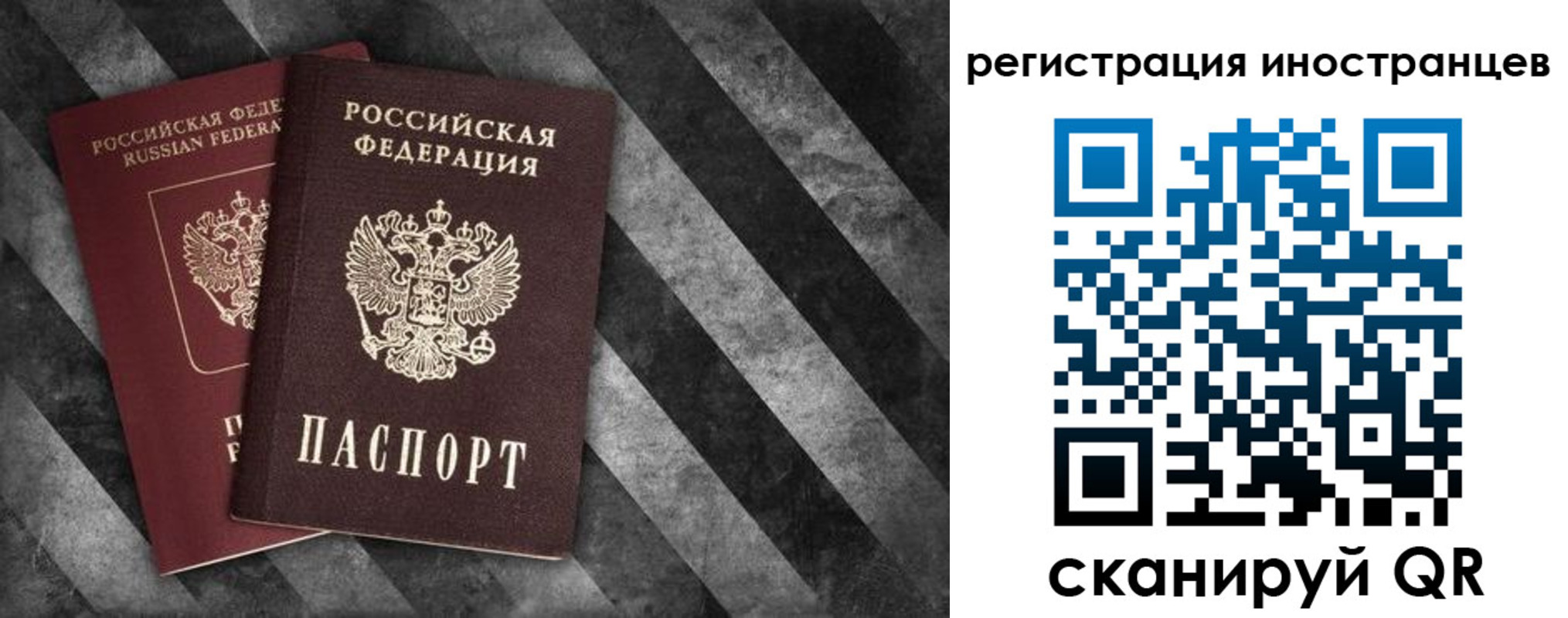 прописка для школы в Сальске